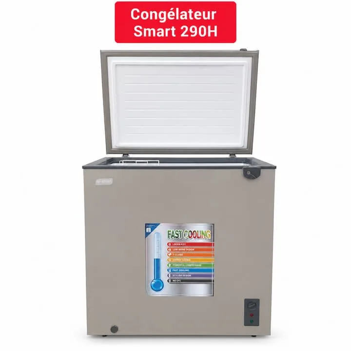 CONGÉLATEUR SMART 290H